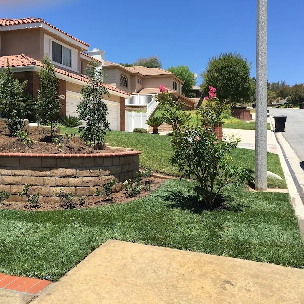Front yard with new sod, tiered planter beds, retaining wall, and flowering shrubs