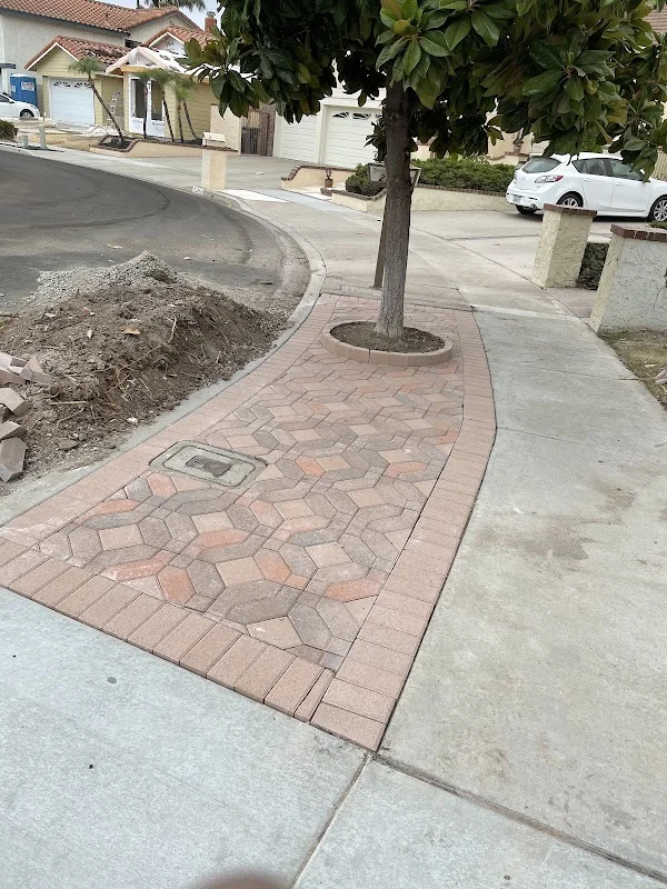 Herringbone paver walkway with geometric pattern and tree well cutout