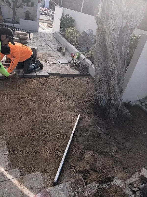 Drainage pipe installation in landscape bed with excavated soil and foundation wall