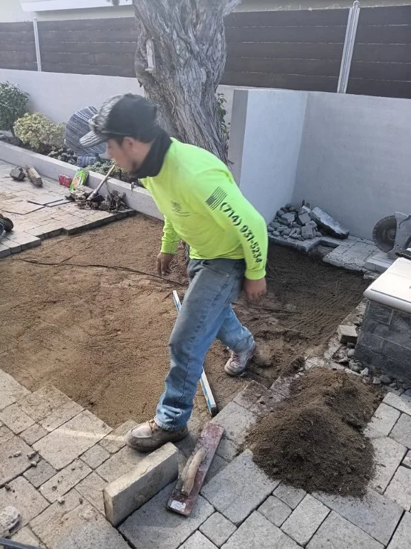 Worker grading and preparing soil in landscape bed with mature tree and paver edging