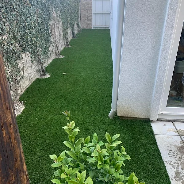 Narrow sideyard with synthetic turf, white downspout, and green shrub plantings