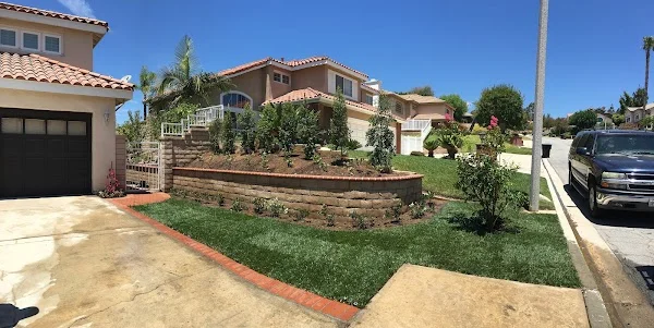 Front yard with timber retaining wall, new sod, and planted shrubs against residential home