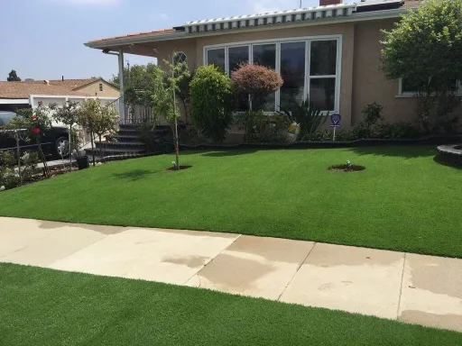 Synthetic turf lawn with concrete walkway, planted trees, and foundation landscaping