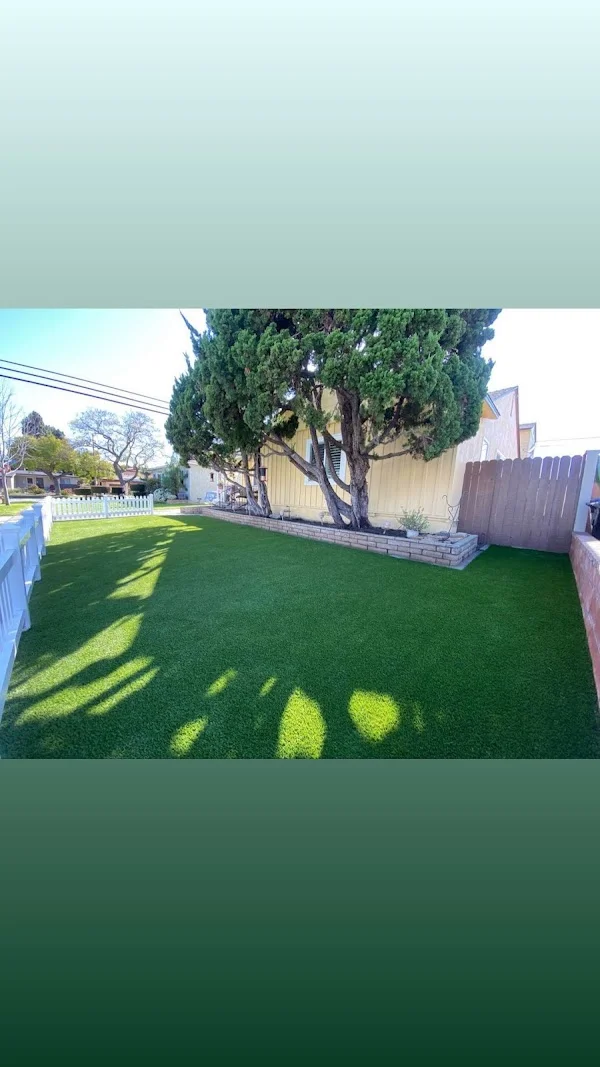 Synthetic turf lawn with brick tree planter box and mature tree in residential backyard