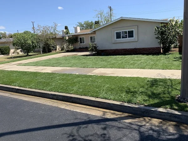 Residential front lawn with newly seeded grass, mature shrubs, and clean driveway edging